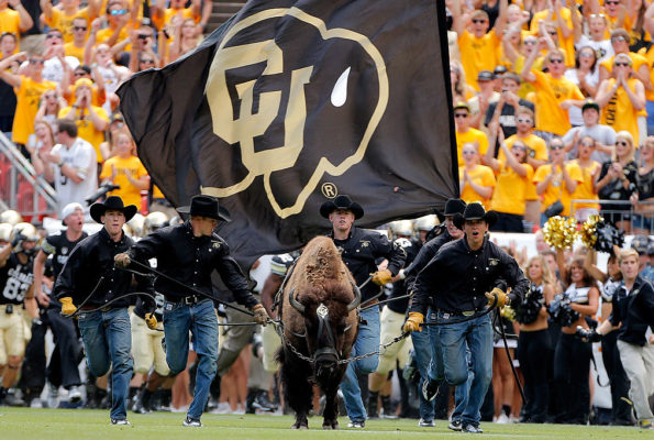 ralphie v-colorado-buffaloes-cu-university of colorado-retire-retiring-health-mascot-live mascots-best mascot