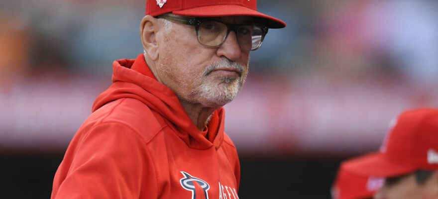 Joe Maddon-mlb